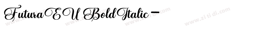 FuturaEU BoldItalic字体转换
